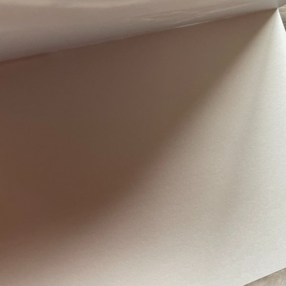 20 Assorted Cards Wild Animal blank inside - Picture 4 of 15